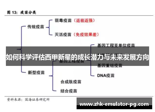 如何科学评估西甲新星的成长潜力与未来发展方向